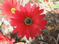 Oktober 10 560v.webp