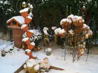 Garten.webp