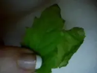 Image_00015.webp