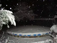 DSC03899.webp
