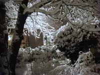 DSC03904.webp