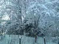 DSC00160.webp