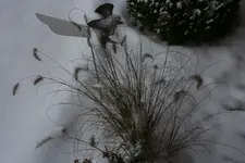 059.webp