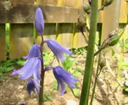 Oktober 10 279v.webp
