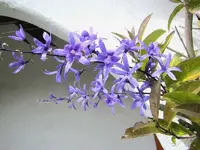 Oktober 10 420v.webp