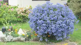 Oktober 10 486v.webp