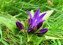 Oktober 10 909v.webp