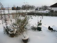 Wintergartenlinks.webp