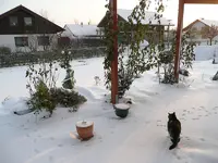Wintergartenrechts.webp