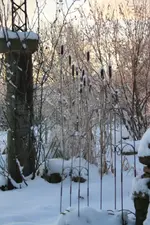 Winter 18.12 (3).webp