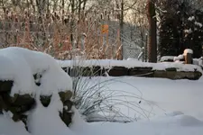 Winter 18.12 (5).webp