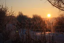 Winter 18.12 (11).webp