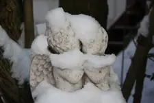 Winter 18.12 (6).webp