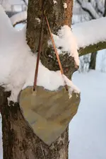 Winter 18.12 (21).webp