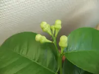 DSCF2114.webp