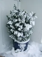 DSCF4703.webp