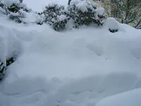 DSCF4704.webp