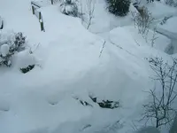 DSCF4706.webp