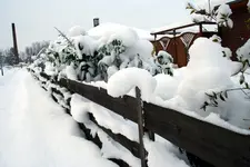 2009-12-19 Winter Schnee Stralsund 0044.webp