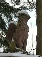 Vogel Greif.webp