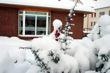 2009-12-54.webp