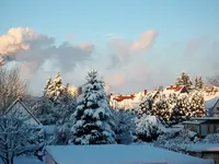 winter15.webp