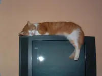 DSCF0003.webp