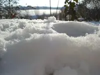 Wintergarten 1.webp