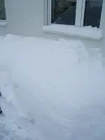 DSCF4710.webp
