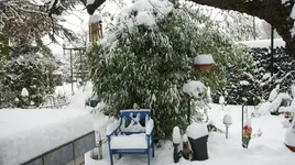 DSC04503.webp