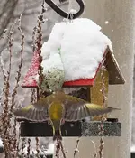 PC191658 Landung.webp
