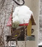PC191663 nun komm schon.webp