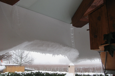 schneegardine19.12.10.webp
