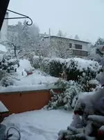 Weihnachtsschnee 005.webp