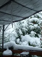 Weihnachtsschnee 006.webp