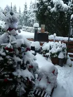 Weihnachtsschnee 007.webp