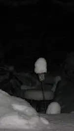 Winter 003.webp