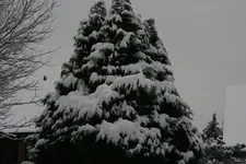 017.webp