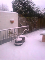 die Terrasse um 10 Uhr 2.webp