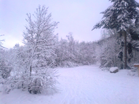 Winterwunderland 1.webp