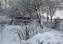 Dezember_2010.webp