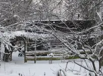 Dezember_2010 (2).webp