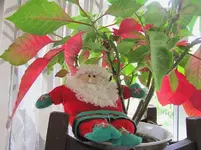 Dezember 2010 218v.webp