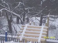 100_2264.webp