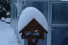Winter Vogelidylle.webp