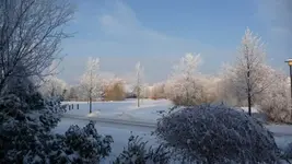 K640_20.12.2010 001.webp