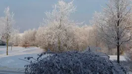 K640_20.12.2010 002.webp