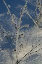 Eiskristalle_klein.webp
