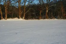 unberührter Schnee2_kleiner.webp