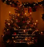 Foren Gruss Weihnachten 2010.webp